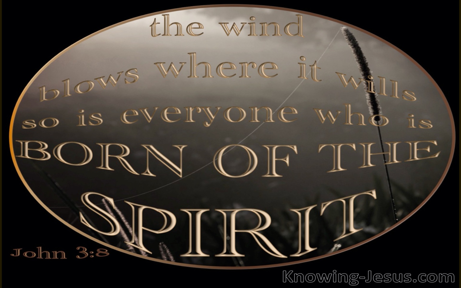 John 3:8 The Wind Blows Where It Wills (gray)